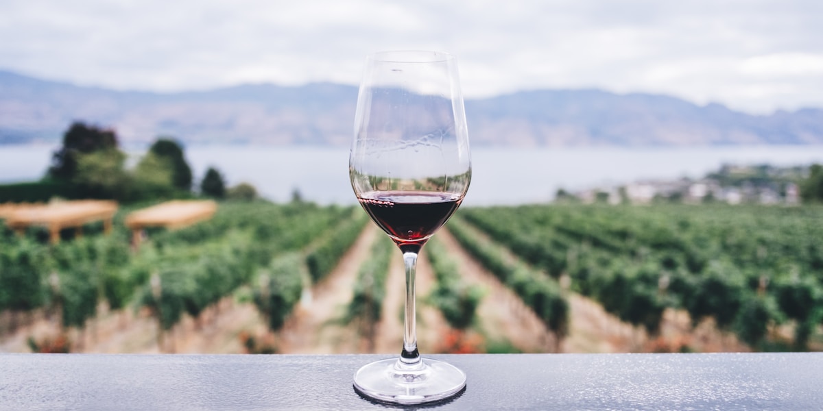 Italian Wine Law: Recent Updates to Denomination Regulations